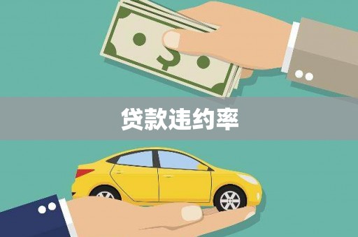 新会贷款违约率