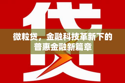 新会微粒贷，金融科技革新下的普惠金融新篇章