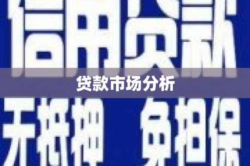 新会贷款市场分析