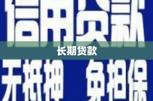 新会长期贷款