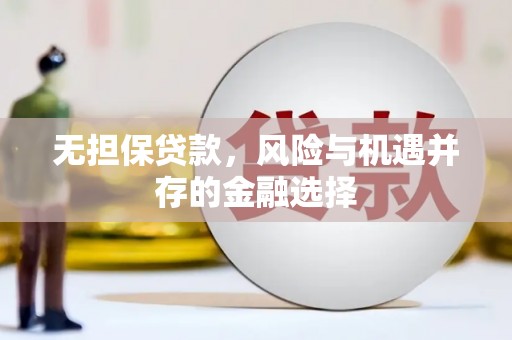 新会无担保贷款，风险与机遇并存的金融选择