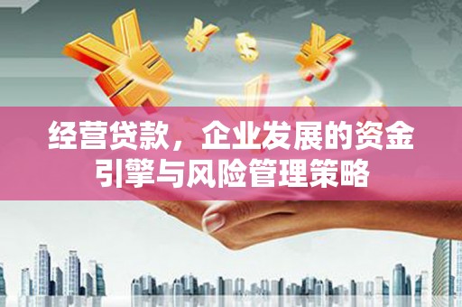 新会经营贷款，企业发展的资金引擎与风险管理策略