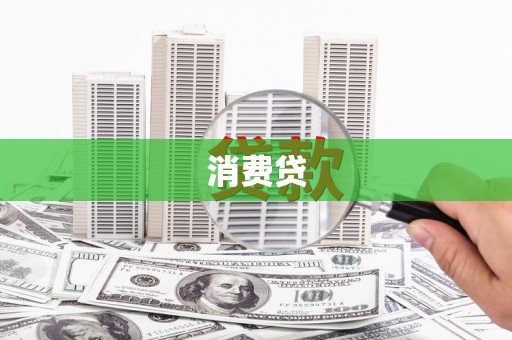 新会消费贷