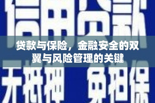 新会贷款与保险，金融安全的双翼与风险管理的关键