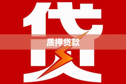 新会质押贷款