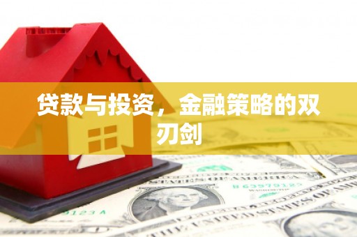 新会贷款与投资，金融策略的双刃剑