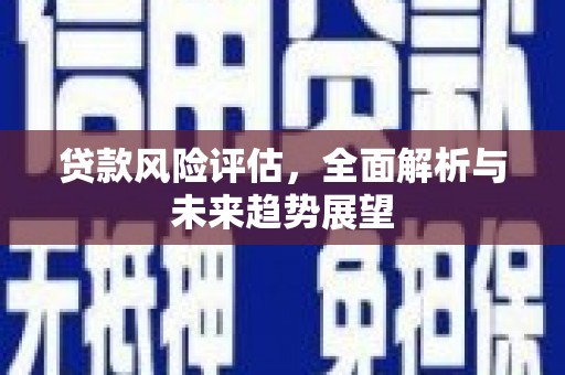 新会贷款风险评估，全面解析与未来趋势展望