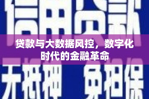 新会贷款与大数据风控，数字化时代的金融革命