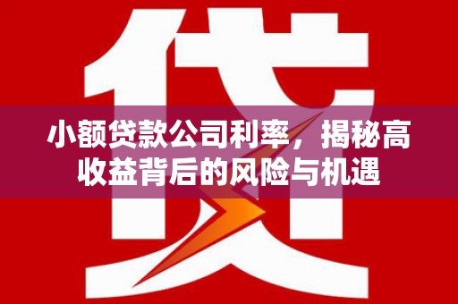 新会小额贷款公司利率，揭秘高收益背后的风险与机遇
