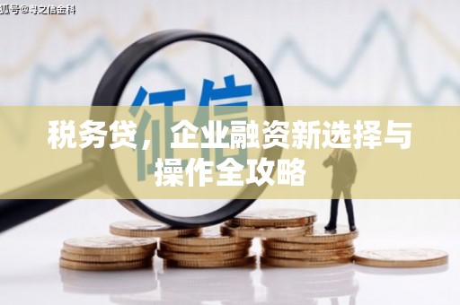 新会税务贷，企业融资新选择与操作全攻略