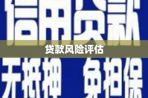 新会贷款风险评估