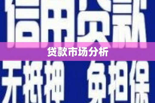 新会贷款市场分析