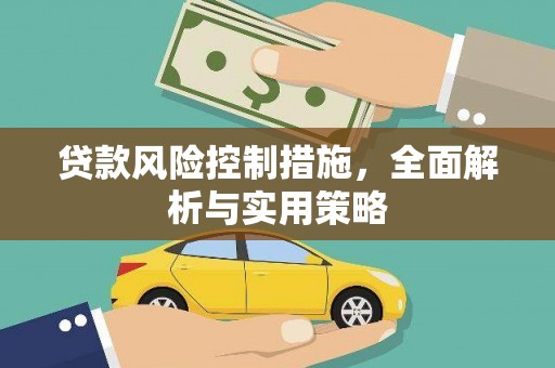 新会贷款风险控制措施，全面解析与实用策略