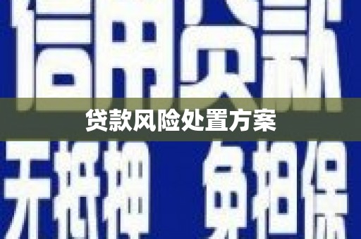 新会贷款风险处置方案