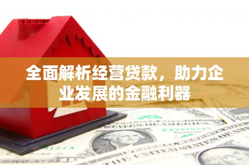 新会全面解析经营贷款，助力企业发展的金融利器
