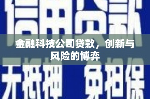 新会金融科技公司贷款，创新与风险的博弈
