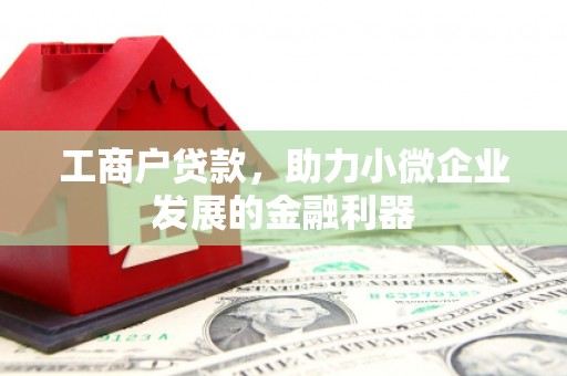 新会工商户贷款，助力小微企业发展的金融利器