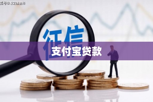 新会支付宝贷款