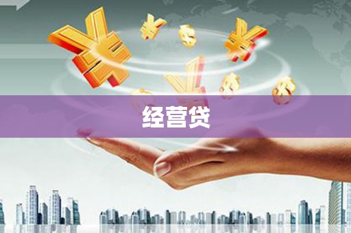 新会经营贷