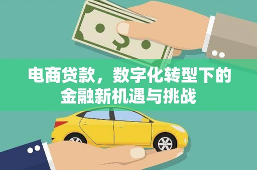新会电商贷款，数字化转型下的金融新机遇与挑战