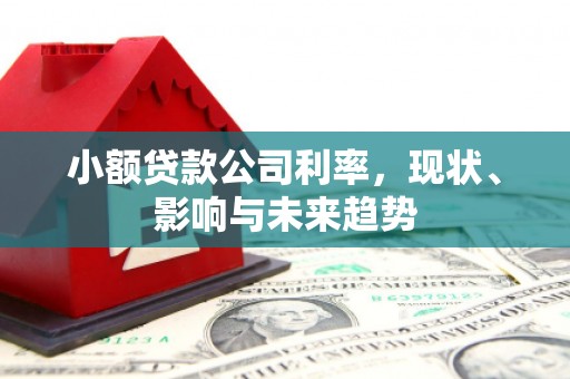 新会小额贷款公司利率，现状、影响与未来趋势