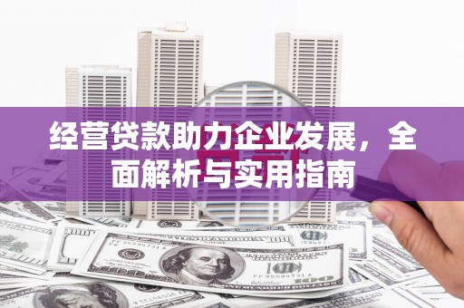 新会经营贷款助力企业发展，全面解析与实用指南