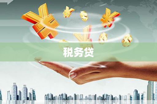 新会税务贷