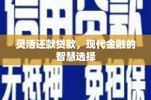 新会灵活还款贷款，现代金融的智慧选择