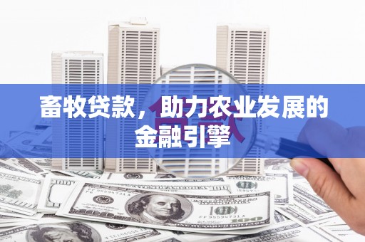 新会畜牧贷款，助力农业发展的金融引擎