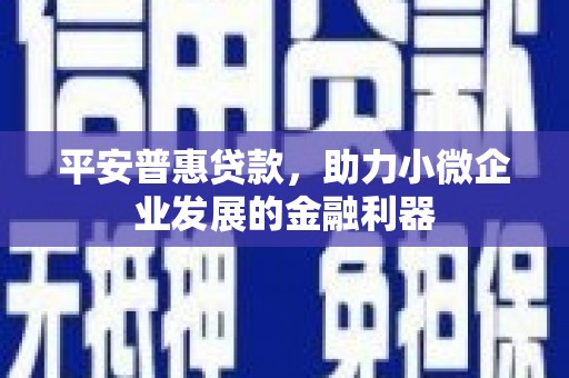 新会平安普惠贷款，助力小微企业发展的金融利器