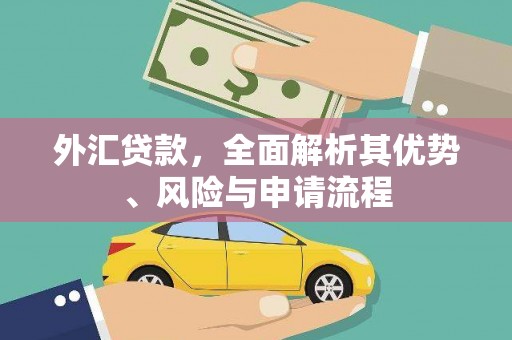 新会外汇贷款，全面解析其优势、风险与申请流程