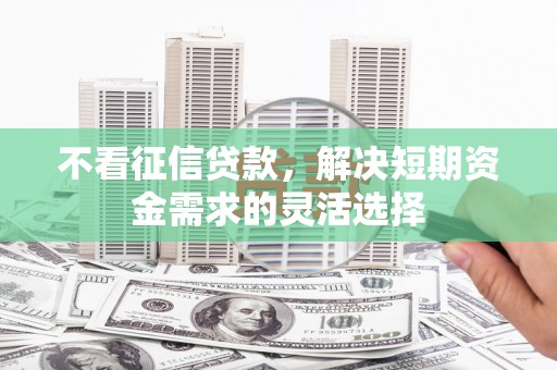 新会不看征信贷款，解决短期资金需求的灵活选择