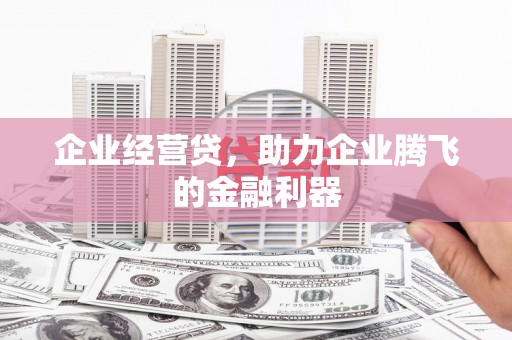 新会企业经营贷，助力企业腾飞的金融利器