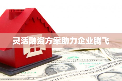 新会灵活融资方案助力企业腾飞