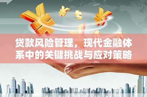 新会贷款风险管理，现代金融体系中的关键挑战与应对策略