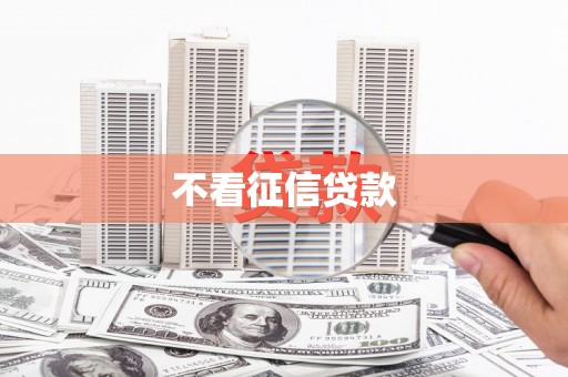 新会不看征信贷款