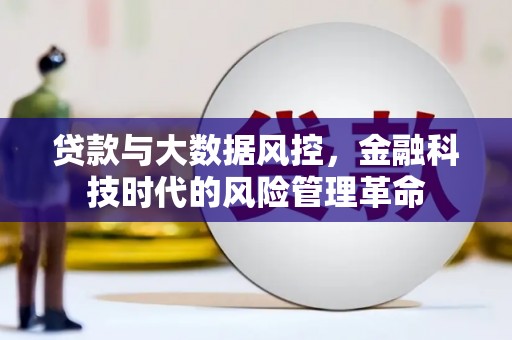 新会贷款与大数据风控，金融科技时代的风险管理革命