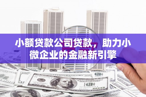 新会小额贷款公司贷款，助力小微企业的金融新引擎