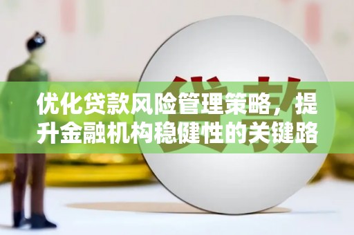 新会优化贷款风险管理策略，提升金融机构稳健性的关键路径