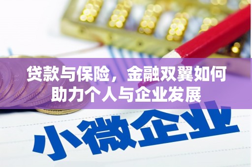 新会贷款与保险，金融双翼如何助力个人与企业发展