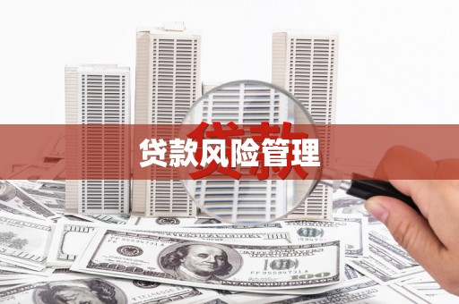 新会贷款风险管理