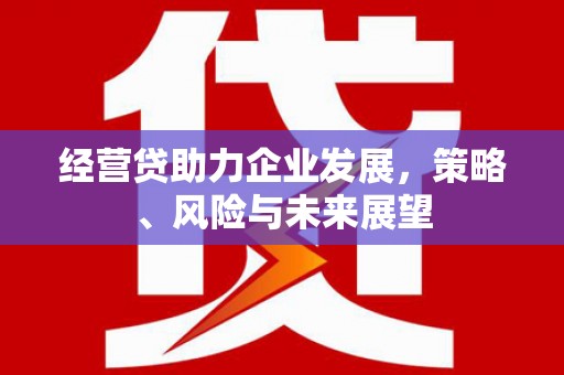 新会经营贷助力企业发展，策略、风险与未来展望