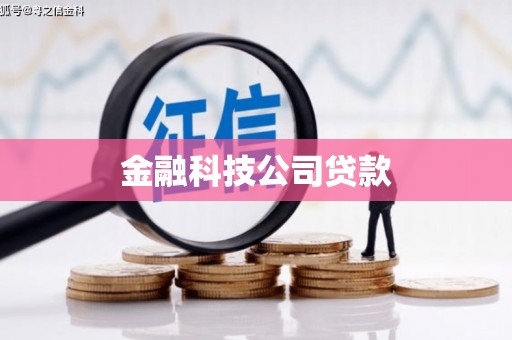 新会金融科技公司贷款