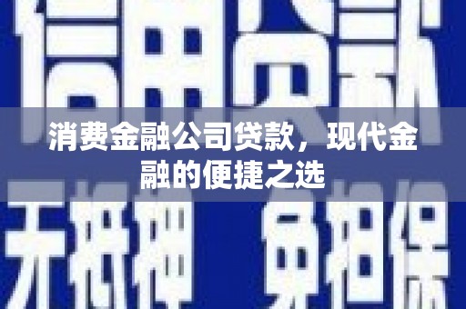 新会消费金融公司贷款，现代金融的便捷之选