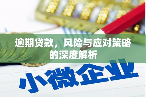 新会逾期贷款，风险与应对策略的深度解析