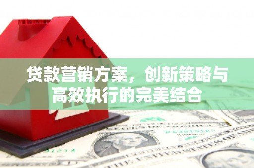 新会贷款营销方案，创新策略与高效执行的完美结合