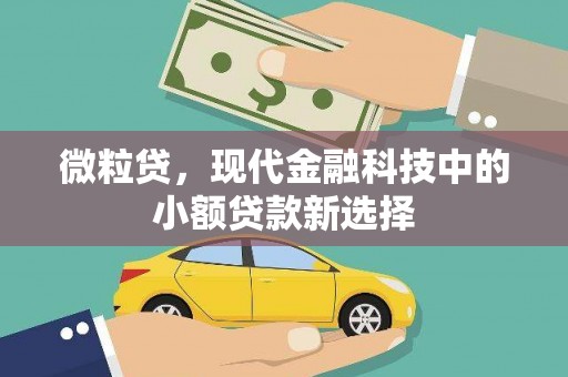 新会微粒贷，现代金融科技中的小额贷款新选择