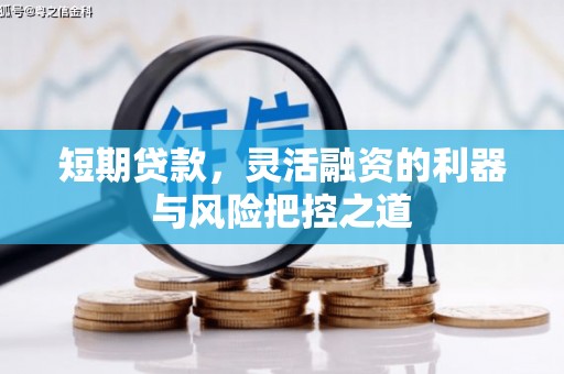 新会短期贷款，灵活融资的利器与风险把控之道