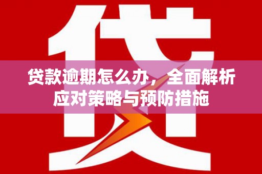 新会贷款逾期怎么办，全面解析应对策略与预防措施