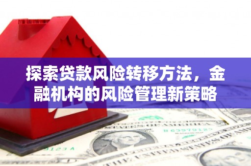 新会探索贷款风险转移方法，金融机构的风险管理新策略
